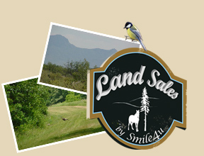 Smile4u Inc. Internet Land Sales