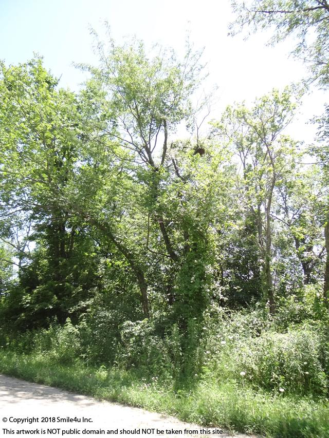 Lots for sale Sugar Valley Lakes KS