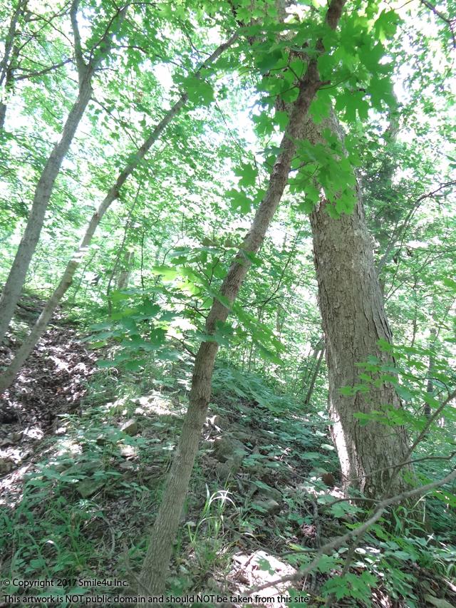 Lots for sale in Tanglewood Lakes, KS