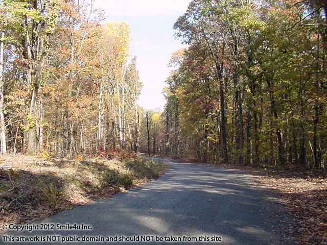 A cute little place for a cabin or RV hidden in the woods, just waiting for a fisherman to come spend their days at Kentucky Lake with a boatramp just down the road!