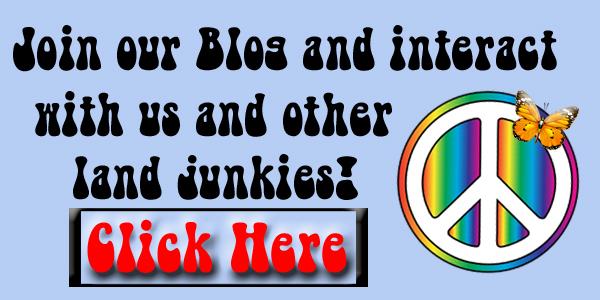 Char's Blog