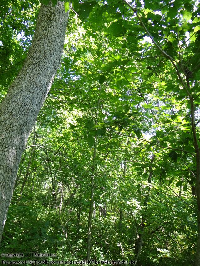 Building lot at Lake Chaparral Kansas