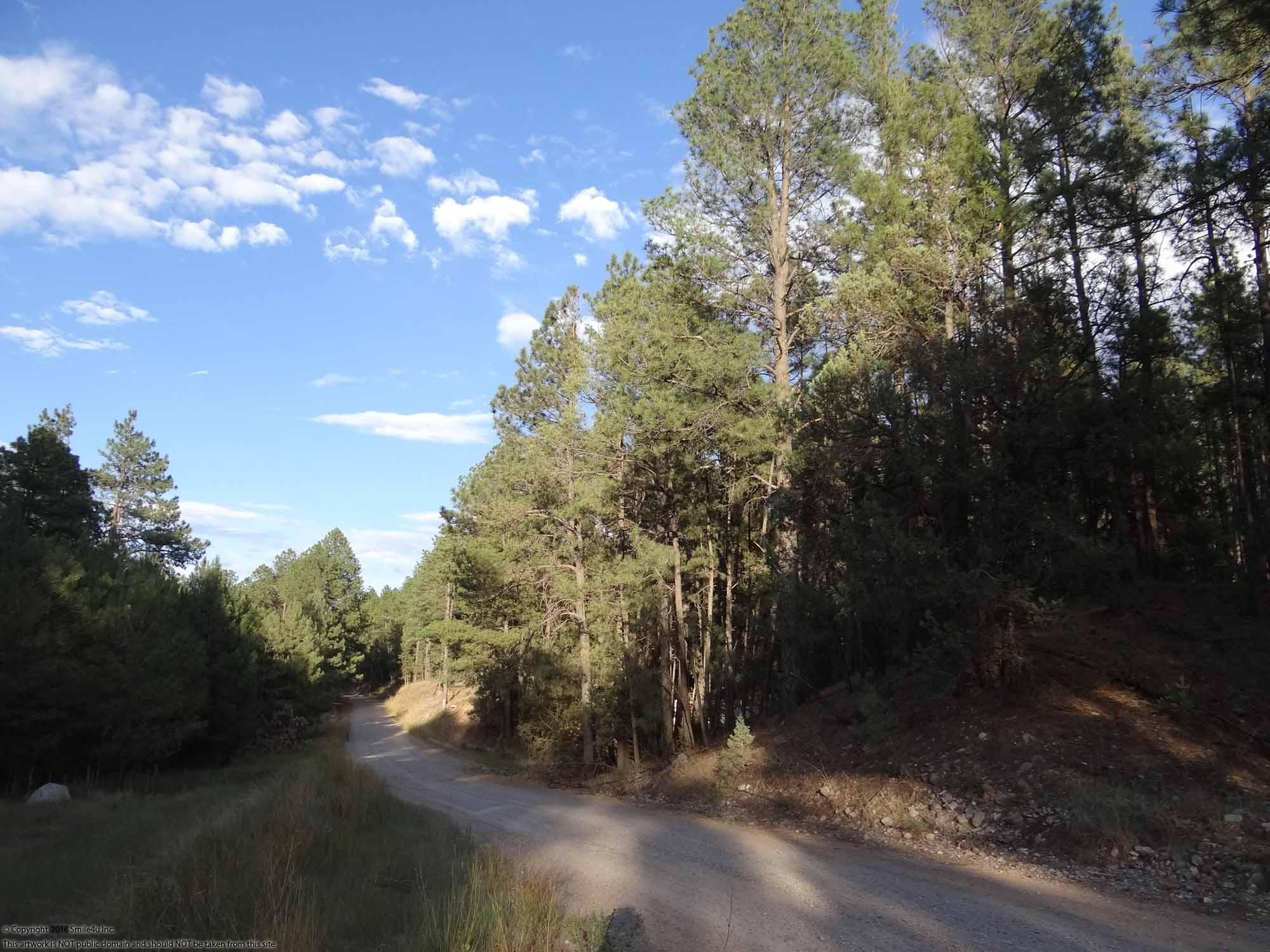 Building lot in Timberon New Mexico