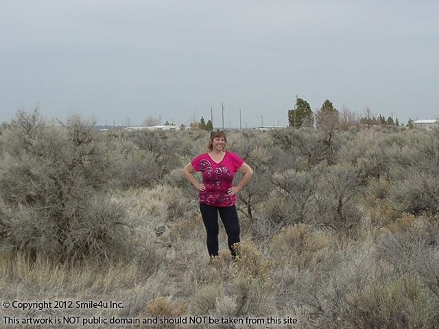 Char on the land for sale in Christmas Valley, Oregon! 