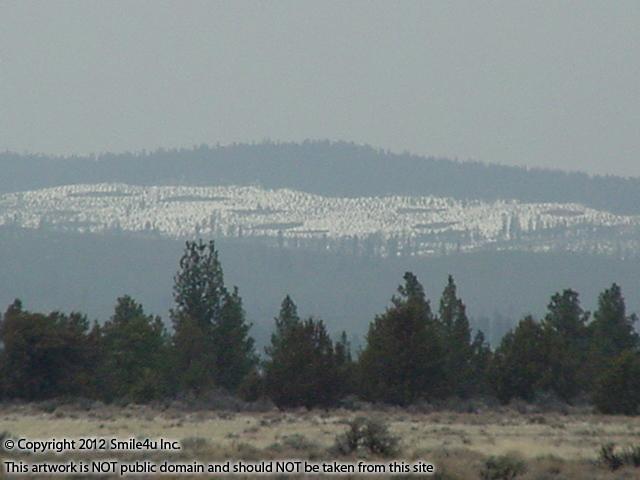 Pretty views of the snowcapped Bly Mountain from this land for sale in Klamath County, Oregon. 