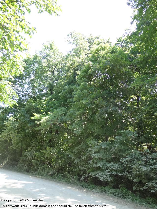 Lots for sale in Tanglewood Lakes, KS