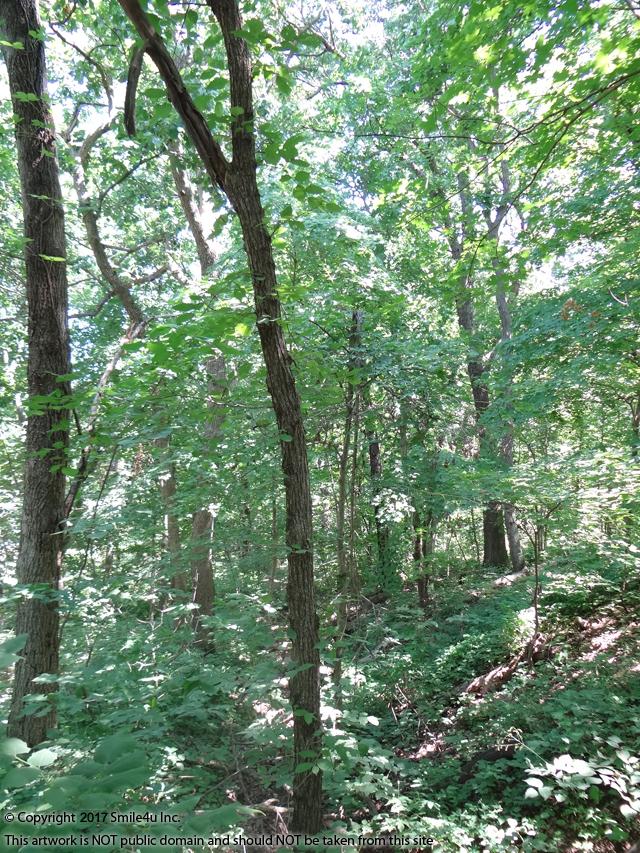 Lots for sale in Tanglewood Lakes, KS