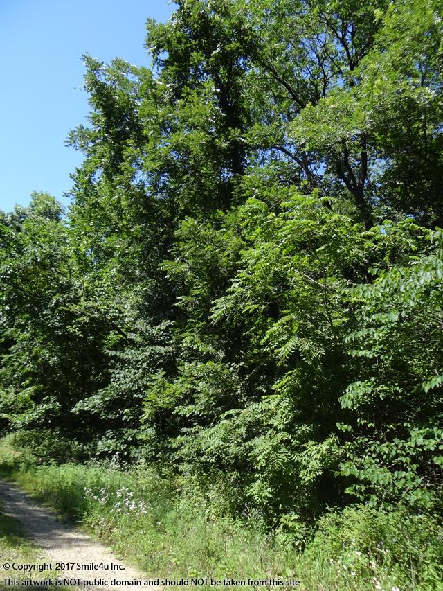 Building lot at Lake Chaparral Kansas