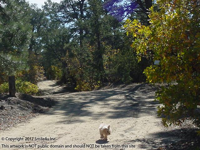Candy Kitchen Nm Land For Sale Candy Kitchen Nm Land For Sale