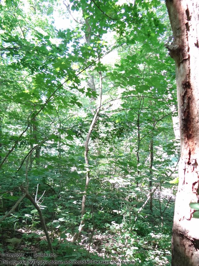 Lots for sale in Tanglewood Lakes, KS