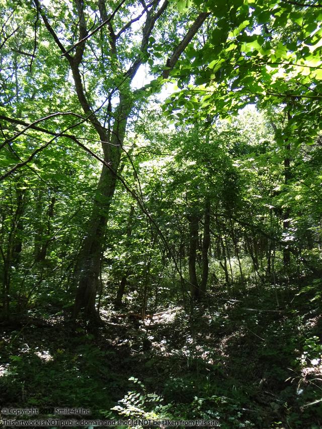 Building lot at Lake Chaparral Kansas