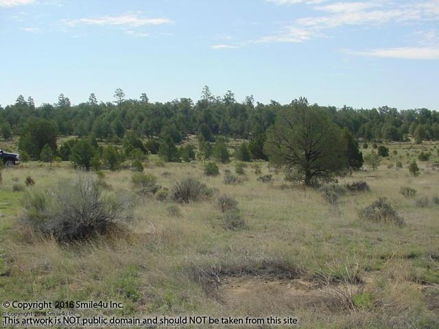 Land For Sale Candy Kitchen New Mexico Land For Sale Candy Kitchen New Mexico
