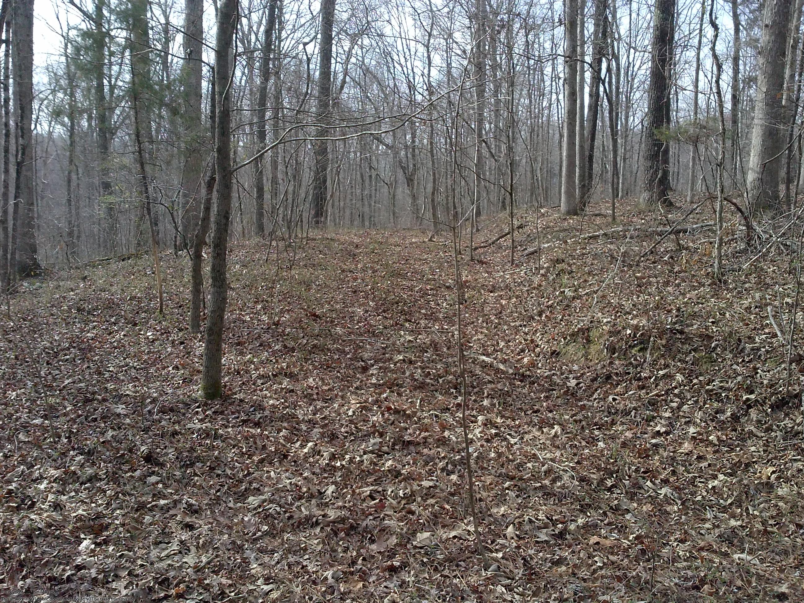 Cheap Land for sale by Kentucky Lake!