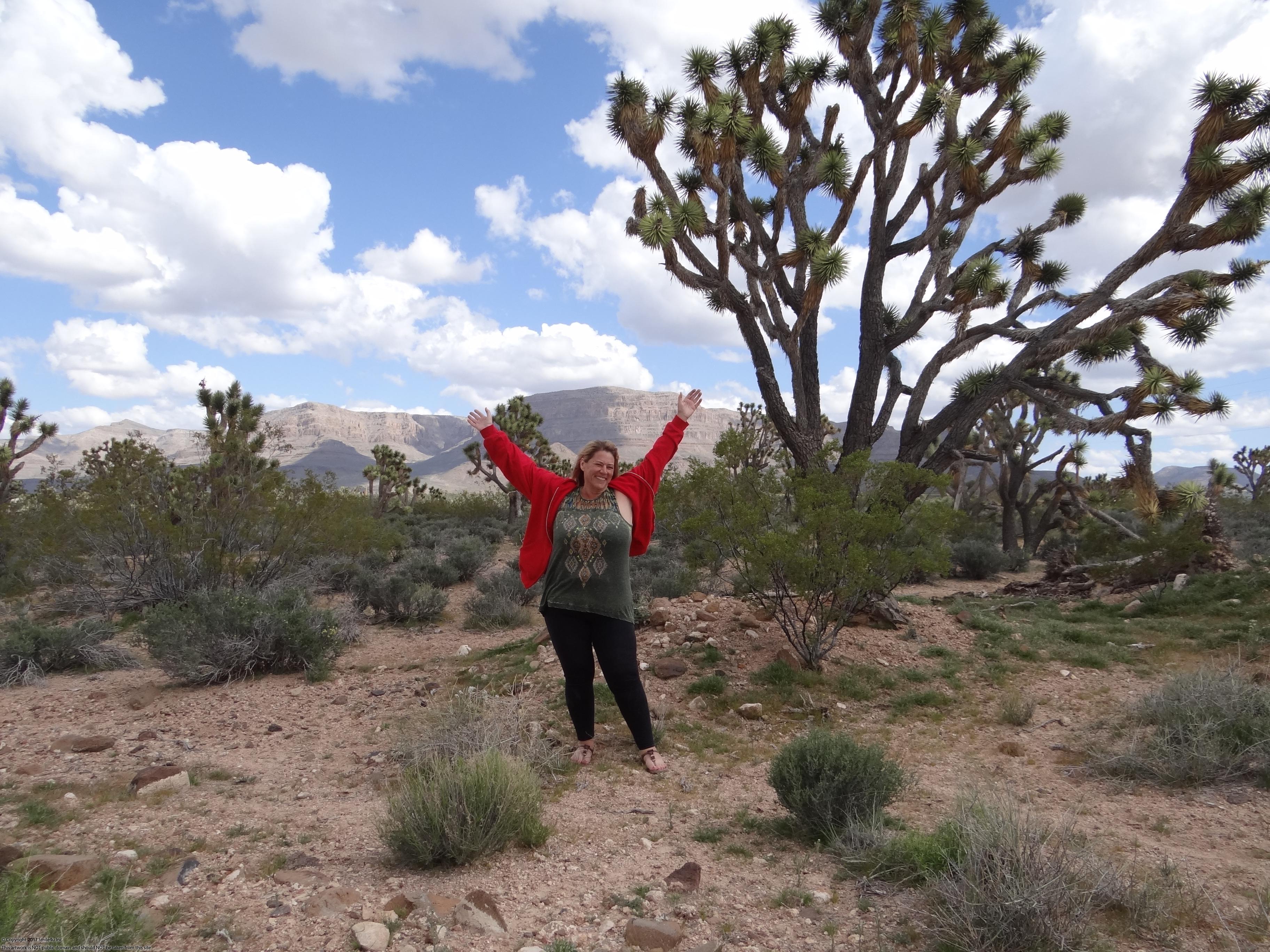 1.06 acres in Dolan Springs Arizona