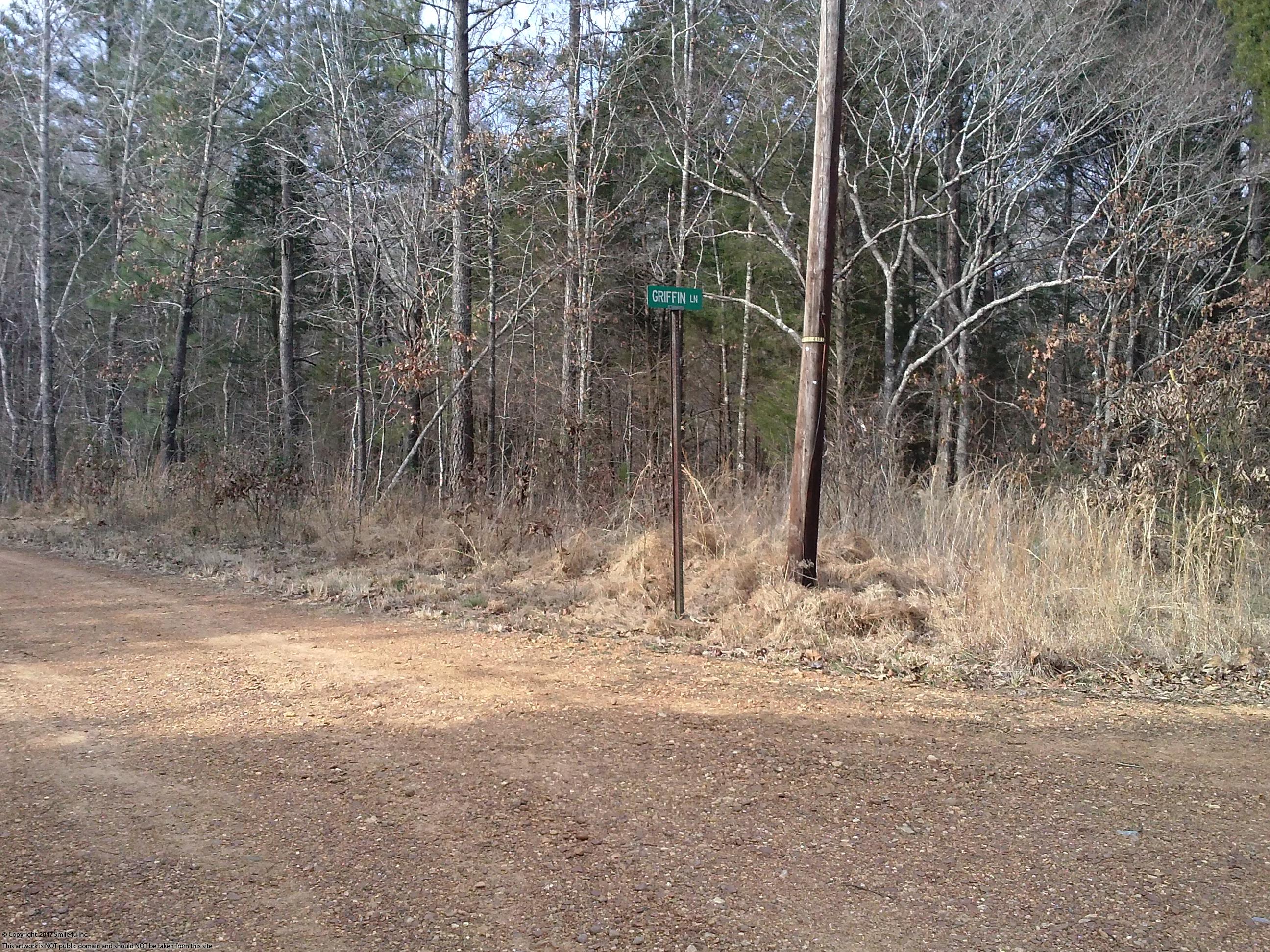 Cheap Land for sale by Kentucky Lake!