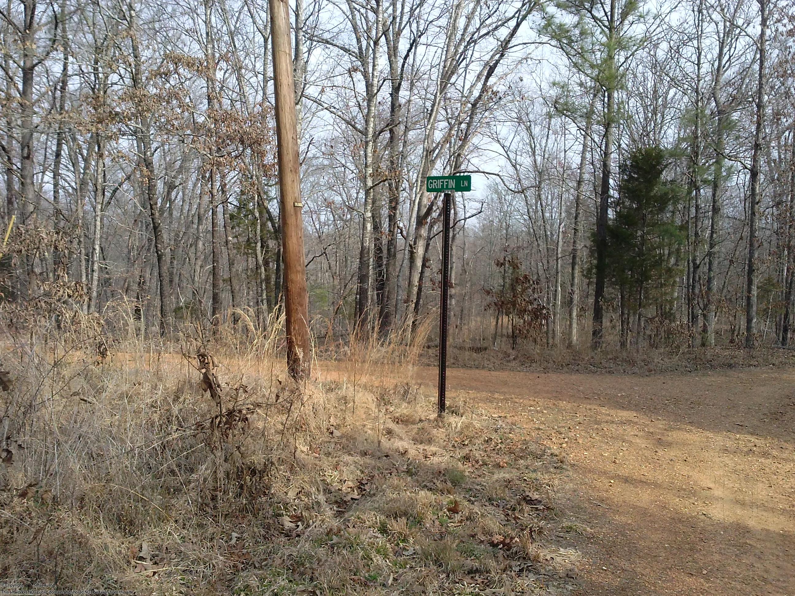 Cheap Land for sale by Kentucky Lake!