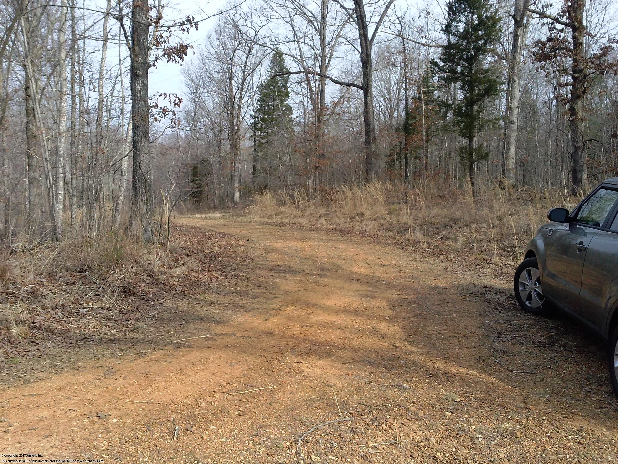 Cheap Land for sale by Kentucky Lake!