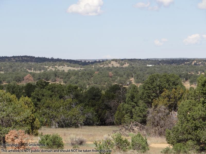 10 acres in Candy Kitchen New Mexico | Smile4uinc.com